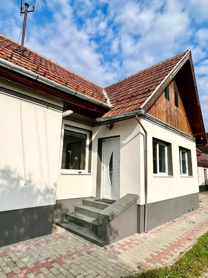Silver House Rasnov Zewnętrze zdjęcie
