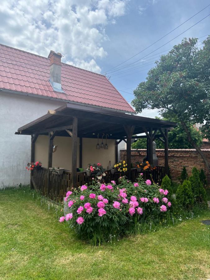 Silver House Rasnov Zewnętrze zdjęcie